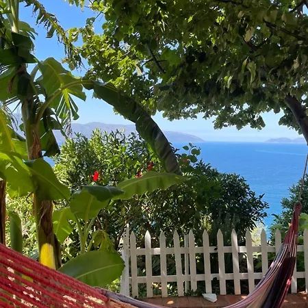 Pashaj * Vlorë