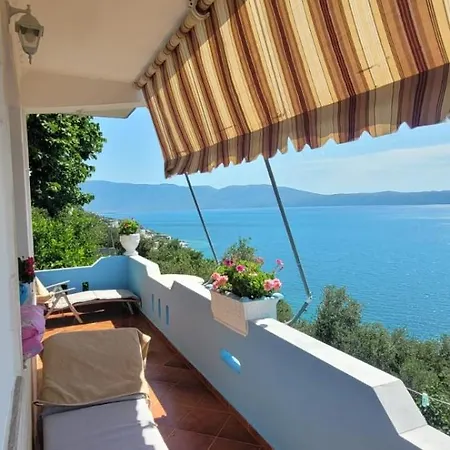 Homestay Pashaj