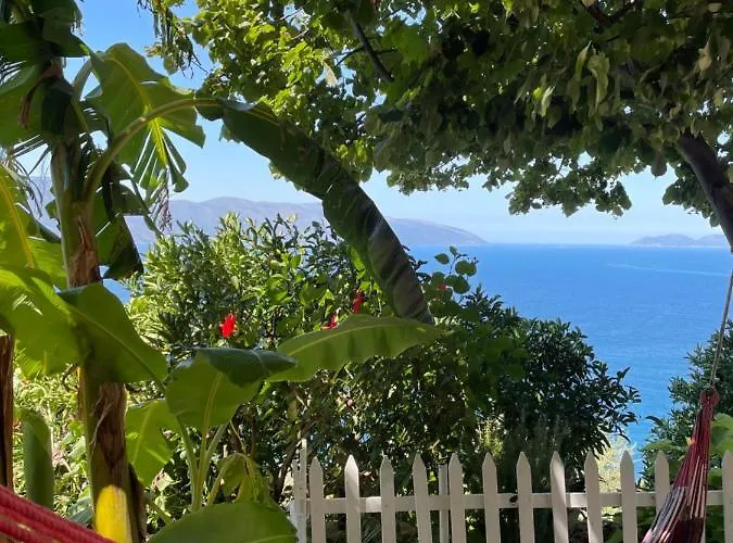 Pashaj * Vlore